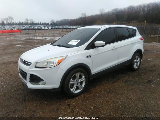 Ford ESCAPE SE 2014 1FMCU0GX0EUA46492 Image 2