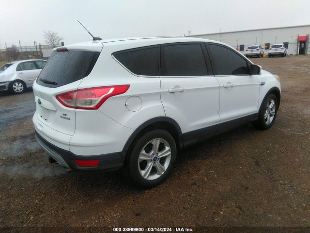 Ford ESCAPE SE 2014 1FMCU0GX0EUA46492 Image 4