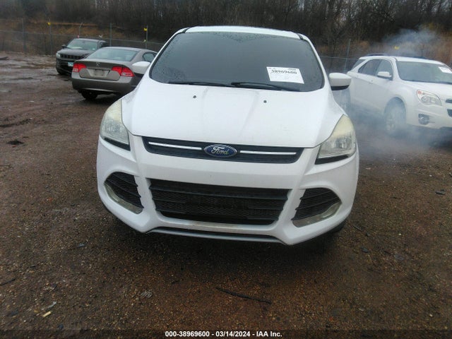 Ford ESCAPE SE 2014 1FMCU0GX0EUA46492 Image 6