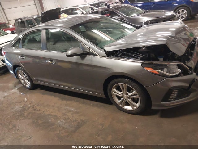 2019 5NPE34AF4KH774426 main image