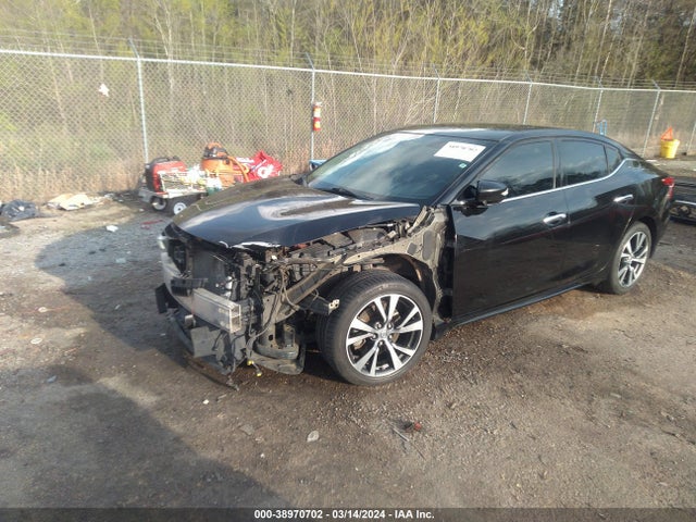 Nissan Maxima 3.5 Sv 2017 1N4AA6APXHC406058 Image 2
