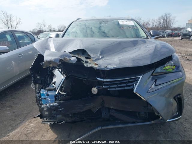JTJDARDZ6M2261362 Lexus NX 300