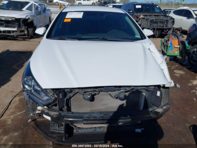 5NPE24AF7KH750866 Hyundai SONATA SE