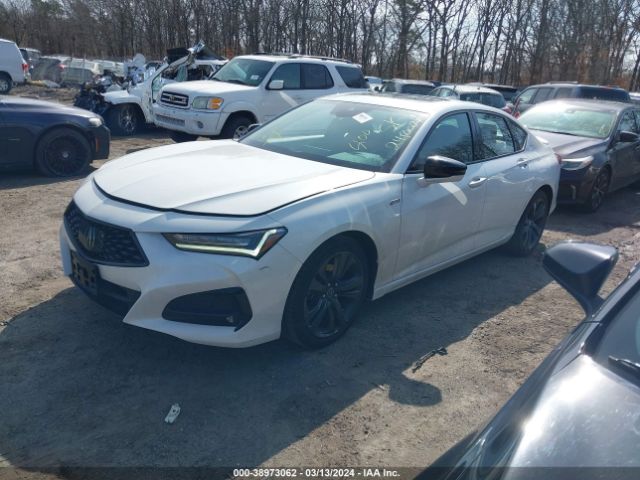 19UUB5F59MA013696 Acura Tlx A-spec Package