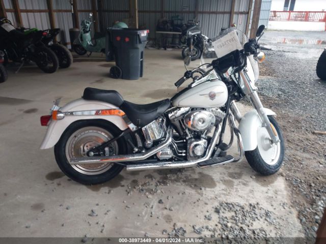 2001 HARLEY-DAVIDSON FLSTF 1HD1BMY171Y035736 Photo 3