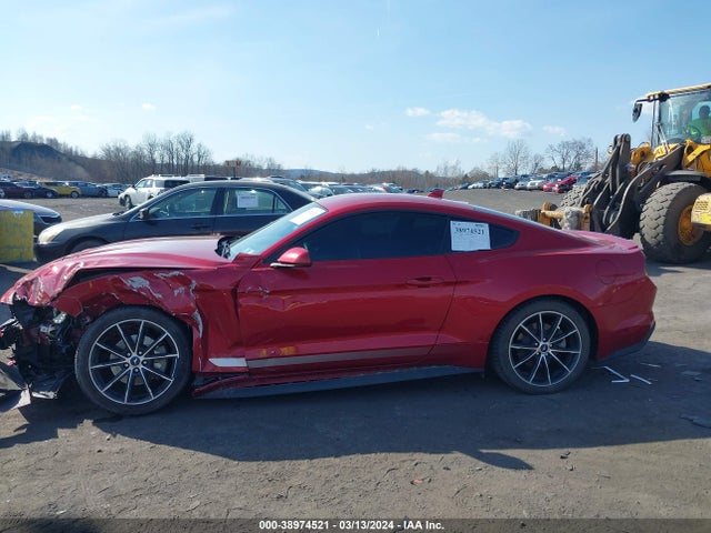 Ford Mustang Ecoboost Fastback 2020 1FA6P8TH4L5183745 Image 14