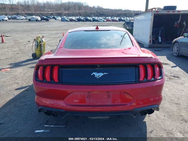 Ford Mustang Ecoboost Fastback 2020 1FA6P8TH4L5183745 Image 16