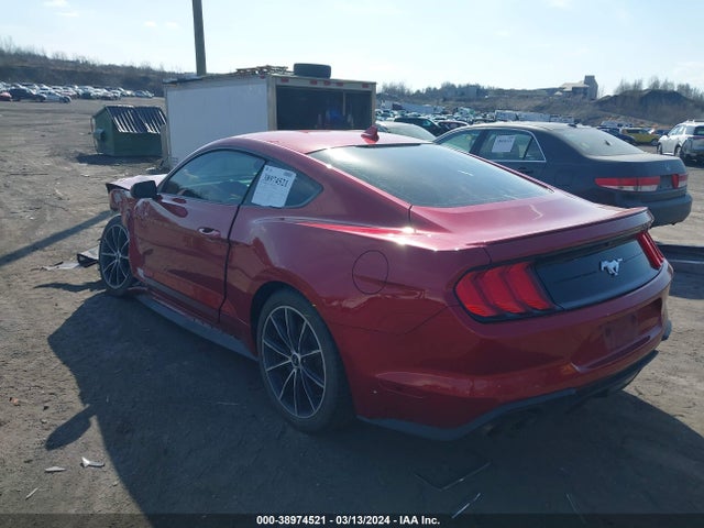 Ford Mustang Ecoboost Fastback 2020 1FA6P8TH4L5183745 Image 3