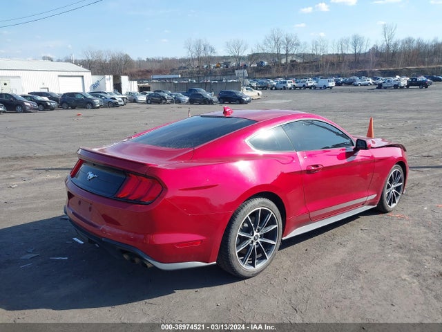 Ford Mustang Ecoboost Fastback 2020 1FA6P8TH4L5183745 Image 4