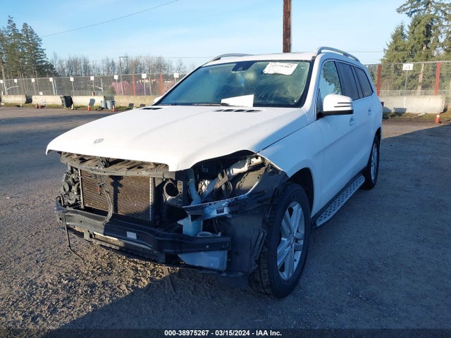 Mercedes-Benz Gl 450 4matic 2015 4JGDF6EE0FA533133 Image 2