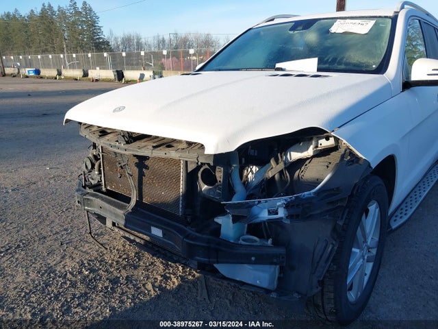 Mercedes-Benz Gl 450 4matic 2015 4JGDF6EE0FA533133 Image 6