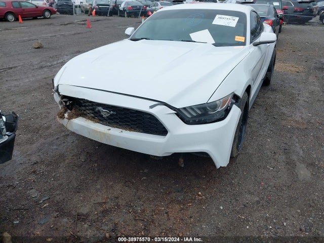 Ford Mustang V6 2016 1FA6P8AM1G5224015 Image 18