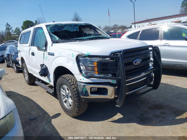 Ford F-150 Xl 2019 1FTMF1EB5KKF22260 Image 1