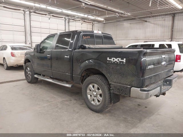 Ford F-150 Xlt 2014 1FTFW1EF2EFD10831 Image 3