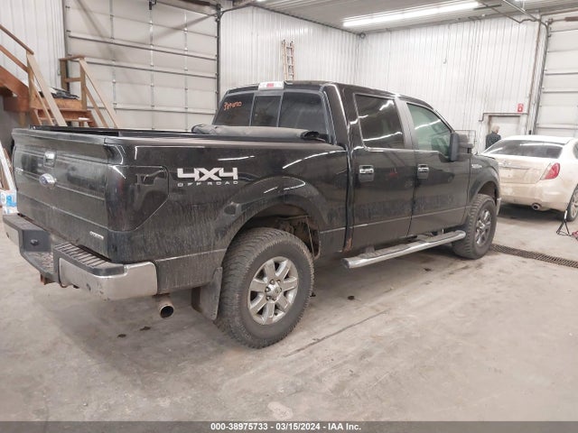 Ford F-150 Xlt 2014 1FTFW1EF2EFD10831 Image 4