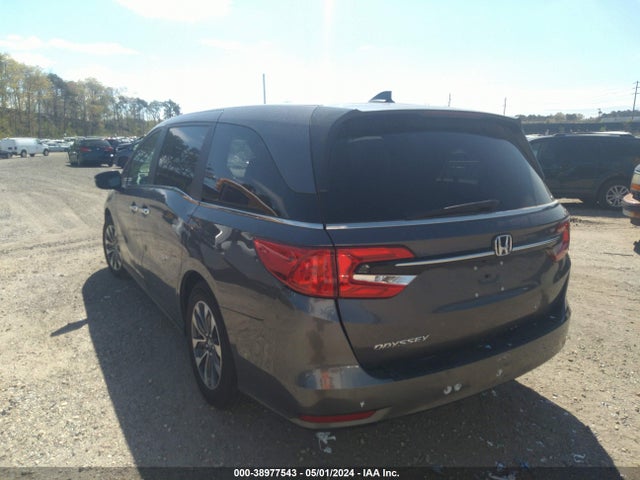 Honda Odyssey Ex-l 2023 5FNRL6H63PB017140 Image 3