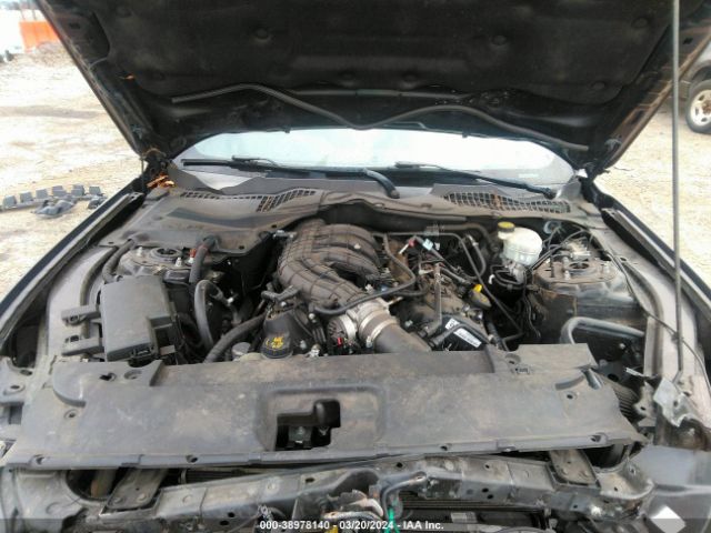1FA6P8AM5G5308144 Ford Mustang V6