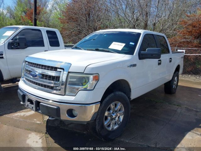 1FTFW1EF4EKD91077 Ford F-150 Xlt