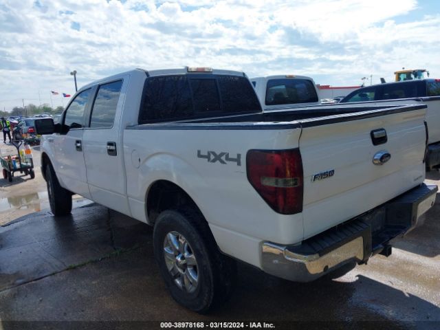 1FTFW1EF4EKD91077 Ford F-150 Xlt