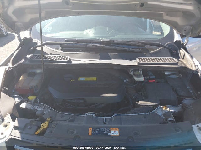 Ford ESCAPE SE 2014 1FMCU9GX0EUB74820 Image 10