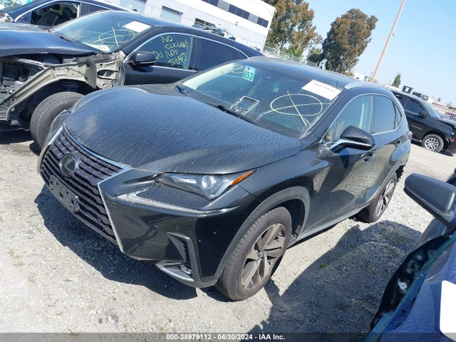 JTJYARBZ6K2122981 Lexus NX 300