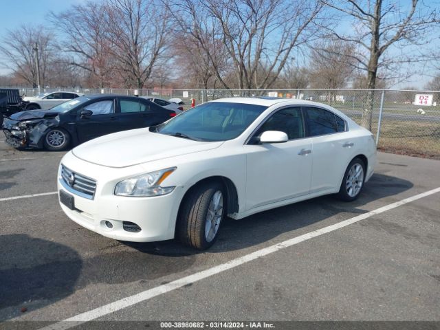 1N4AA5AP8EC493447 Nissan Maxima 3.5 S/3.5 Sv