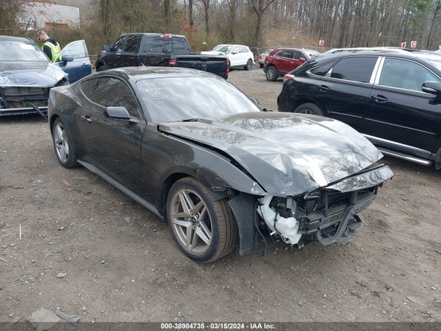 2024 1FA6P8TH9R5102585 main image