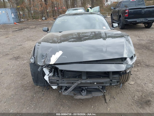 Ford Mustang Ecoboost Fastback 2024 1FA6P8TH9R5102585 Image 12
