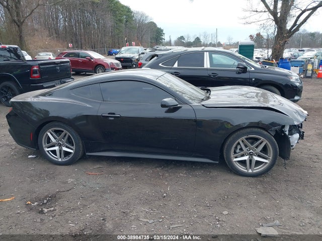 Ford Mustang Ecoboost Fastback 2024 1FA6P8TH9R5102585 Image 13