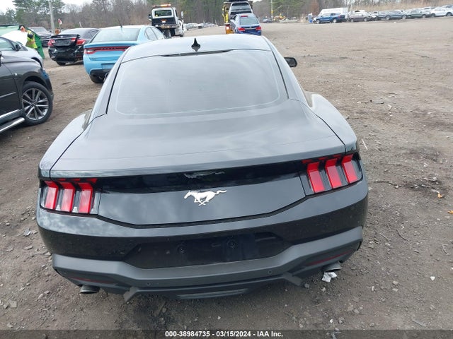 Ford Mustang Ecoboost Fastback 2024 1FA6P8TH9R5102585 Image 16