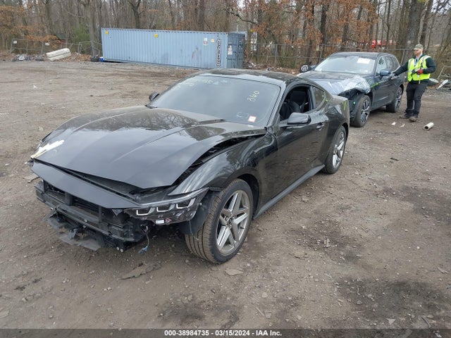 Ford Mustang Ecoboost Fastback 2024 1FA6P8TH9R5102585 Image 2