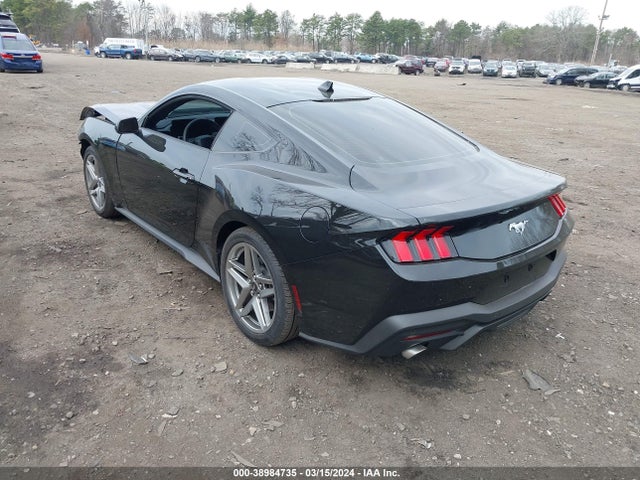 Ford Mustang Ecoboost Fastback 2024 1FA6P8TH9R5102585 Image 3