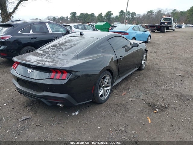 Ford Mustang Ecoboost Fastback 2024 1FA6P8TH9R5102585 Image 4