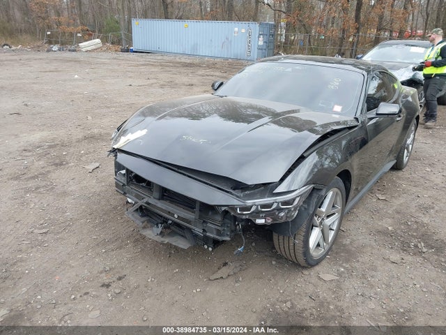 Ford Mustang Ecoboost Fastback 2024 1FA6P8TH9R5102585 Image 6