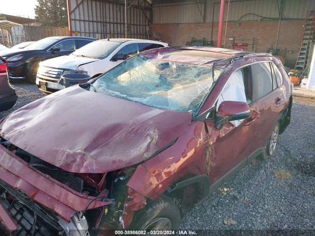 Toyota Rav4 Xle 2023 2T3W1RFV4PW283894 Image 6
