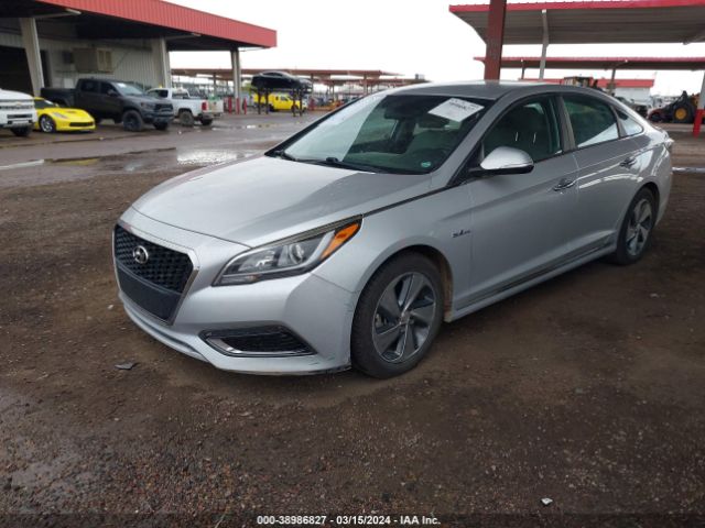 KMHE24L16HA051032 Hyundai Sonata Hybrid Se