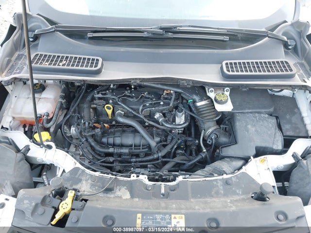 Ford ESCAPE SE 2014 1FMCU0GX7EUA43668 Image 10