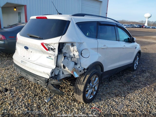 Ford ESCAPE SE 2014 1FMCU0GX7EUA43668 Image 4