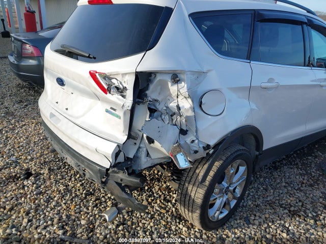 Ford ESCAPE SE 2014 1FMCU0GX7EUA43668 Image 6