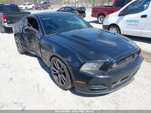 Ford MUSTANG GT 2014 1ZVBP8CF7E5207107 Image 13