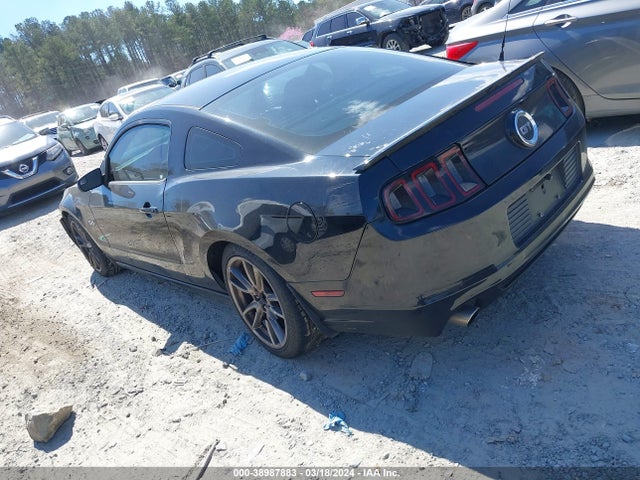 Ford MUSTANG GT 2014 1ZVBP8CF7E5207107 Image 3