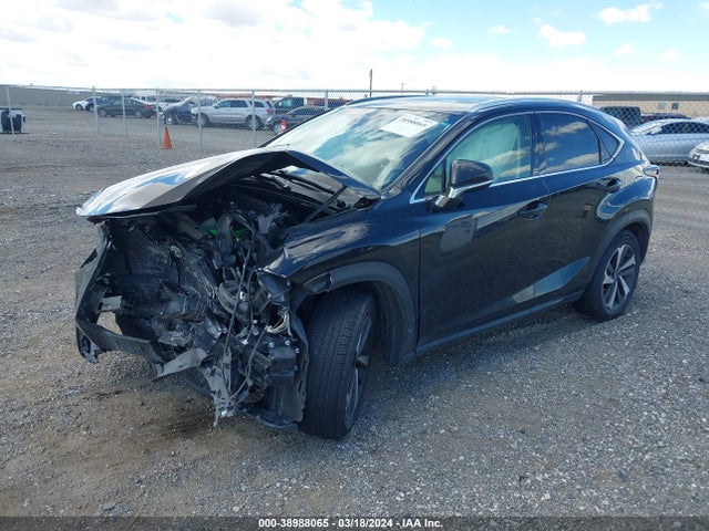 JTJYARBZ6J2107797 Lexus NX 300