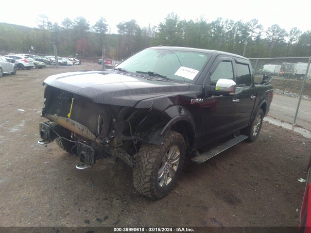 Ford F-150 Platinum 2015 1FTEW1EF7FFA66610 Image 2