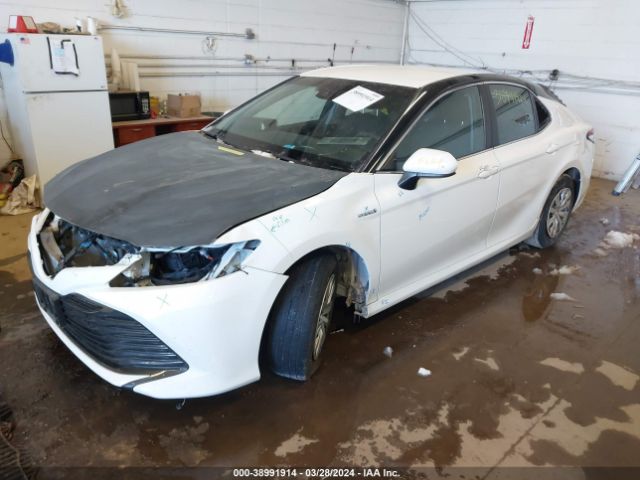 4T1B31HK7JU505843 Toyota Camry Hybrid Le