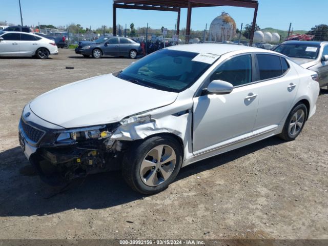 KNAGM4AD3F5083699 KIA OPTIMA HYBRID
