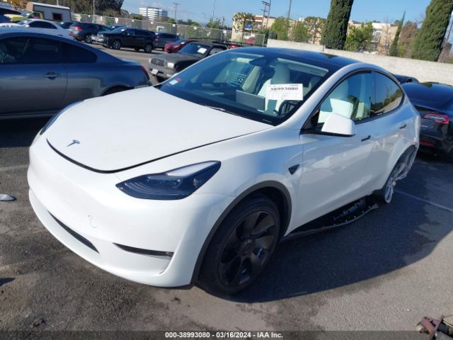 7SAYGDED3PF922875 Tesla Model Y Rwd