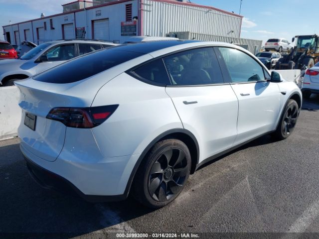7SAYGDED3PF922875 Tesla Model Y Rwd