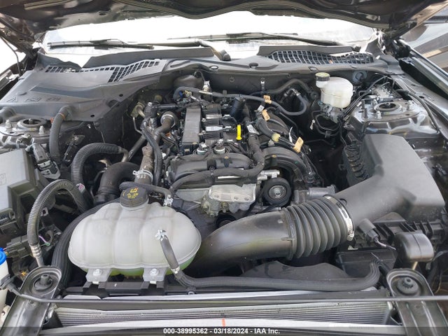Ford Mustang Ecoboost Premium Fastback 2022 1FA6P8TH7N5150161 Image 10