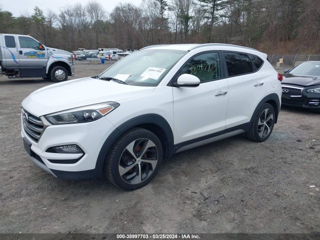 Hyundai Tucson Limited 2017 KM8J3CA24HU328504 Image 2
