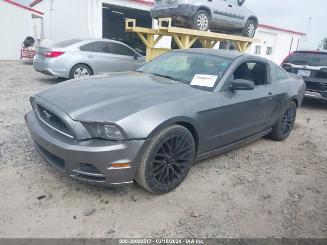 1ZVBP8AM4E5283420 Ford Mustang V6